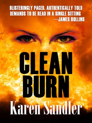 cover image of Clean Burn